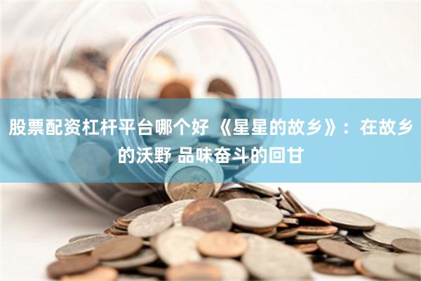 股票配资杠杆平台哪个好 《星星的故乡》：在故乡的沃野 品味奋斗的回甘