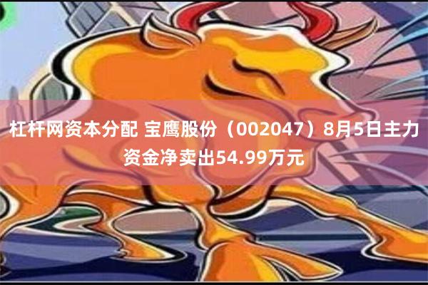 杠杆网资本分配 宝鹰股份（002047）8月5日主力资金净卖出54.99万元