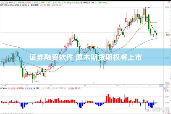 证券融资软件 原木期货期权将上市