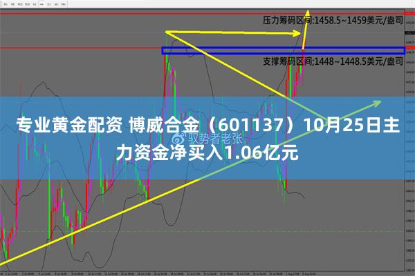 专业黄金配资 博威合金（601137）10月25日主力资金净买入1.06亿元