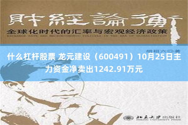 什么杠杆股票 龙元建设（600491）10月25日主力资金净卖出1242.91万元