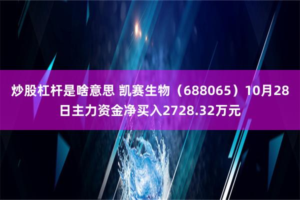 炒股杠杆是啥意思 凯赛生物（688065）10月28日主力资金净买入2728.32万元