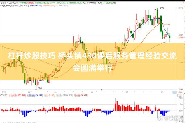 杠杆炒股技巧 桥头镇430课后服务管理经验交流会圆满举行